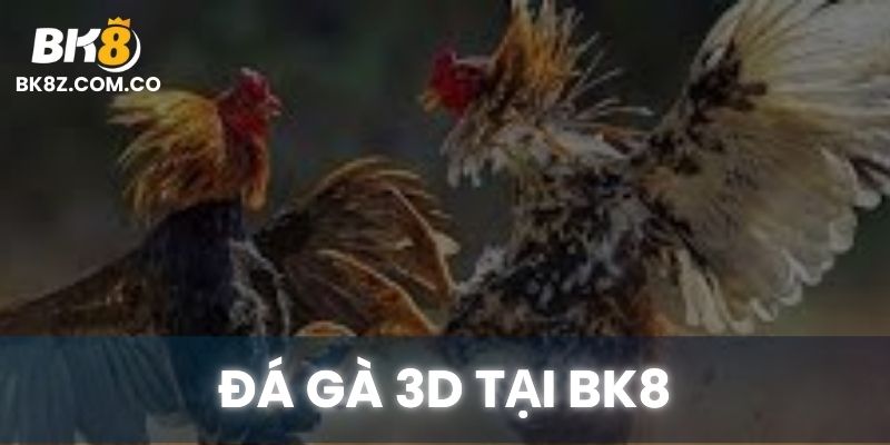 Trận đá gà 3D sinh động tại BK8 với chiến kê đồ họa sống động